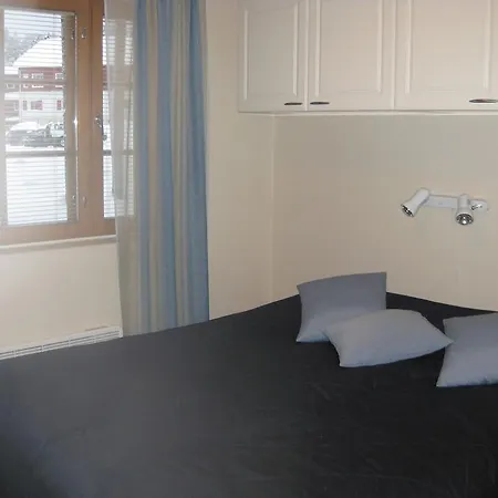 Levin Alppi 3 A 1 アパート レヴィ