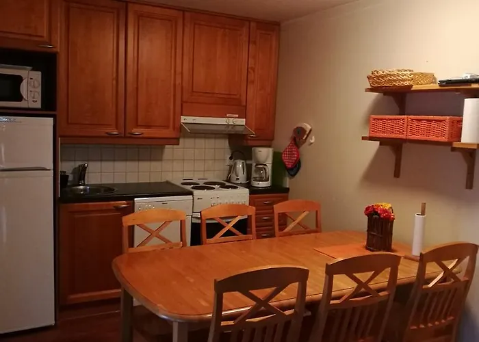 Levin Alppi 3 A 1 Διαμέρισμα Levi