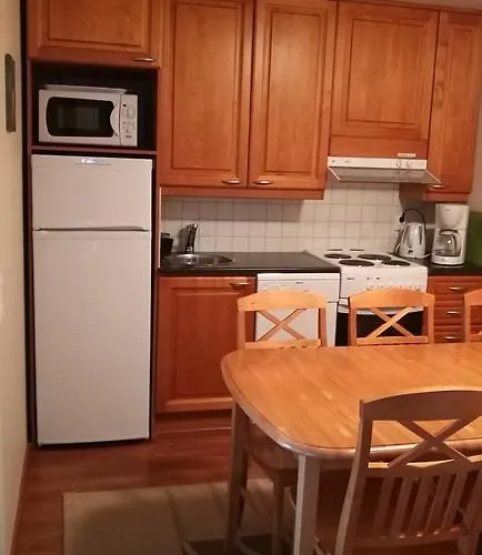 Levin Alppi 3 A 1 아파트